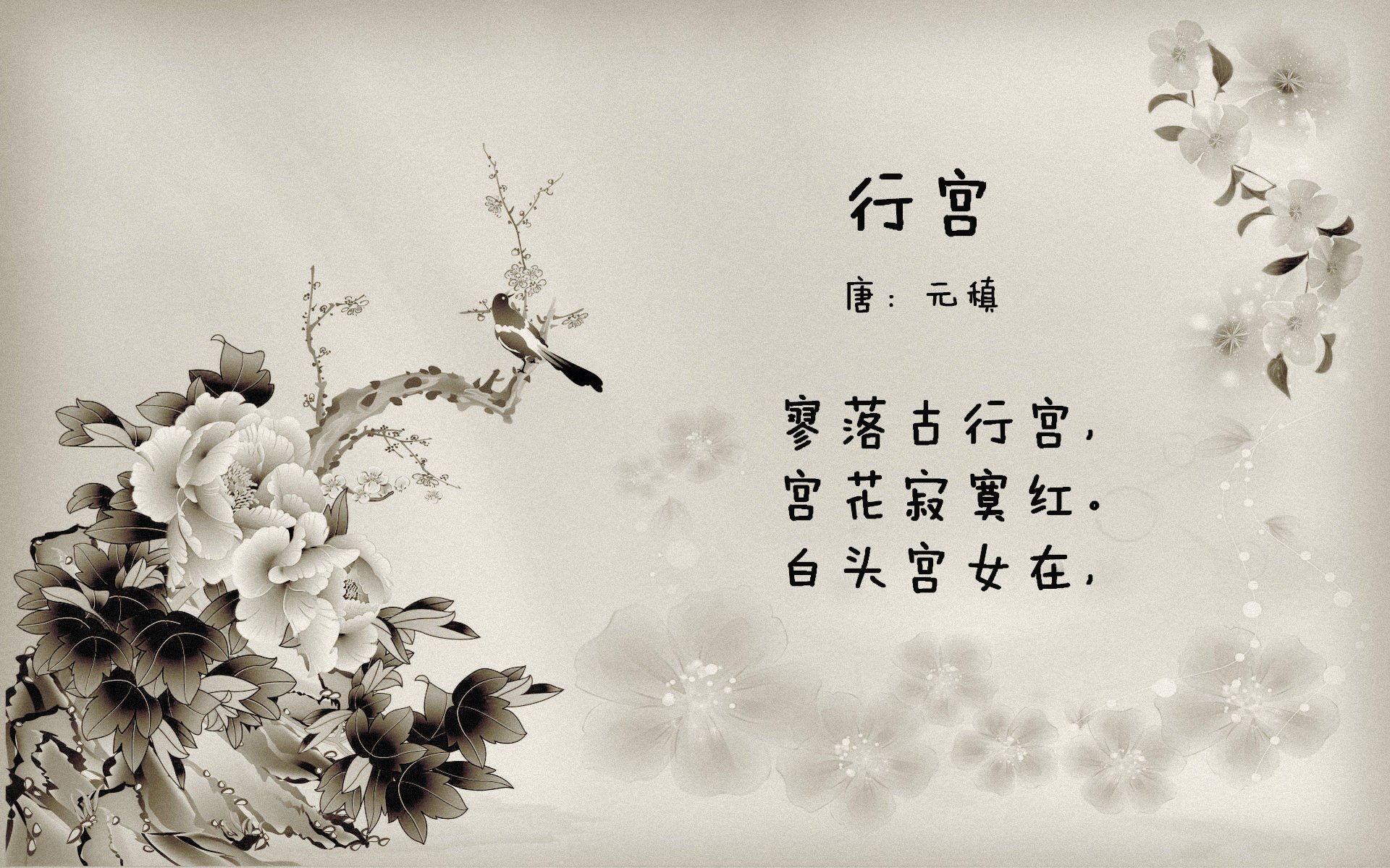 女足比赛球队训练积极，备战临近开启，女足 训练