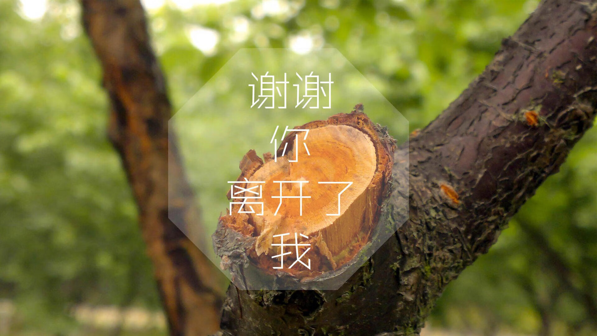 无比激烈的对决即将上演，看不见输家，激烈对决的成语