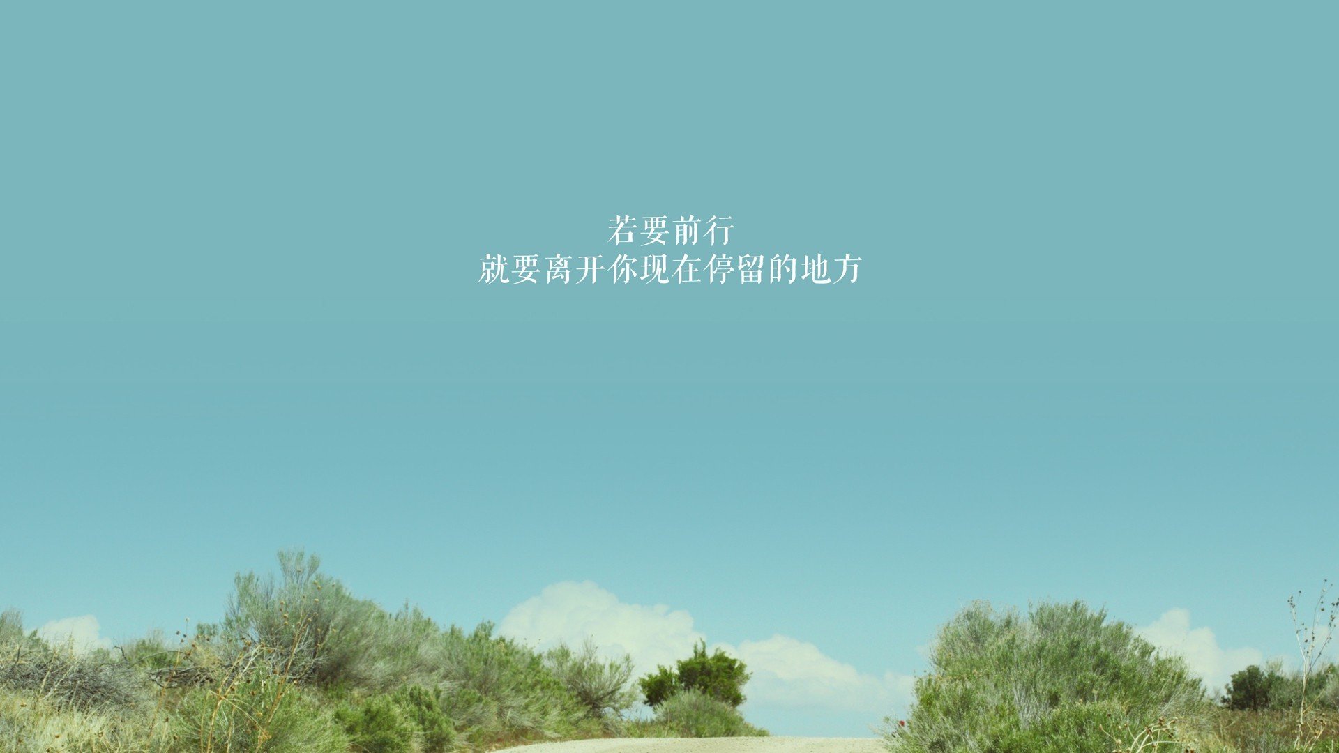 波兰击败奥地利，晋级前途一片光明，波兰对奥地利比分