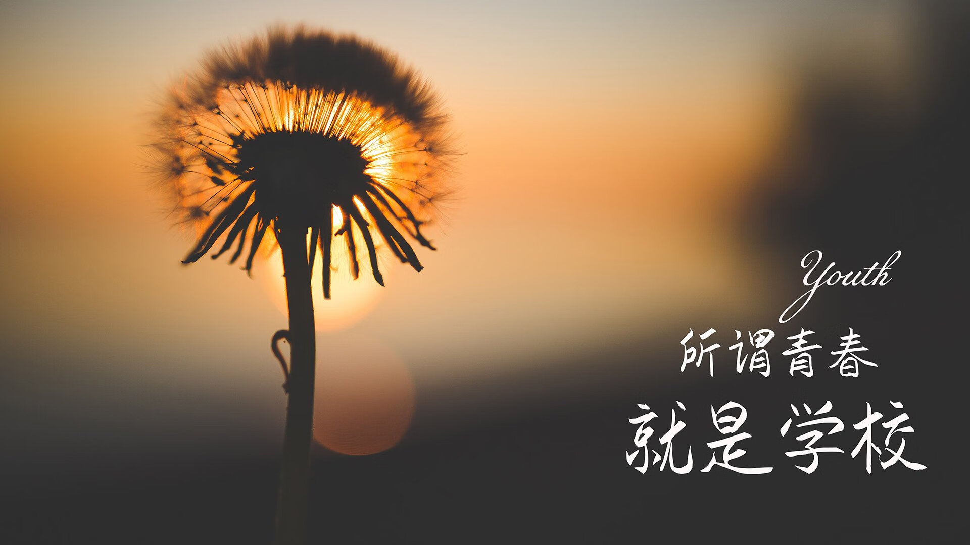 骑士球队教练团队全力训练 率先突破，骑士球队队员名单