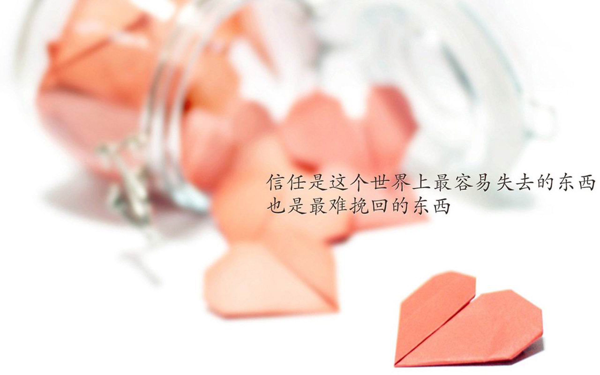 爱游戏官方网站-澳女泳队展现集团作战优势，澳洲泳坛少女惊艳